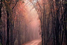 开云体育下载-恩菲尔德队长激励全队，挑战强敌士气高昂