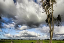 开云体育app-欧陆烽火再燃！从战术革新到文化融合，解码绿茵场上的欧洲统治力