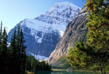 开云体育在线-卡尔蒂斯阵容深度显著，替补席也能决定比赛走向