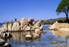 开云体育登录-印城风暴！步行者主场狂扫黄蜂，团队篮球奏响华丽乐章