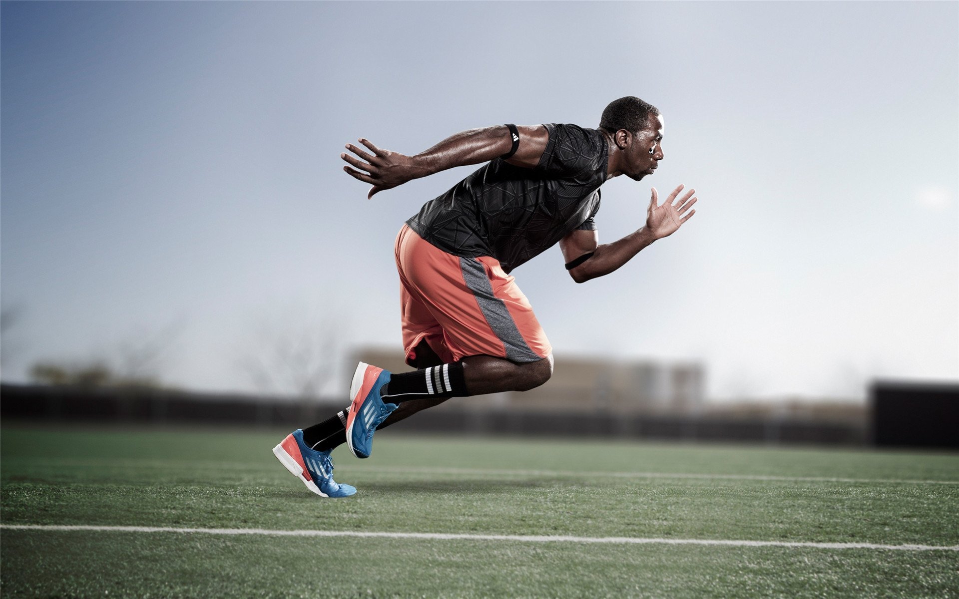 国王双星闪耀碾压热火，麦科勒姆化身无解永动机，王朝拼图已就位？